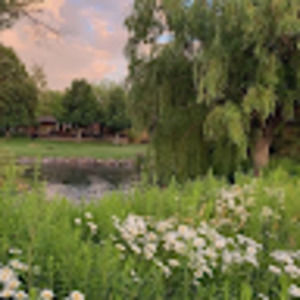 Meet your Posher, Grace